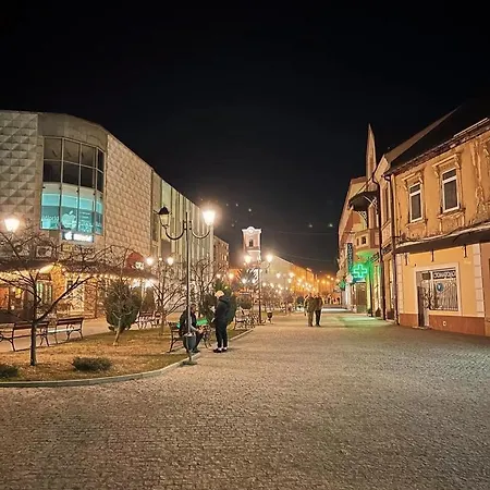 УЛІС Дудки Хуст